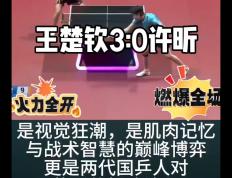 开云体育平台APP-波兰队完胜日本队，许昕关键制胜