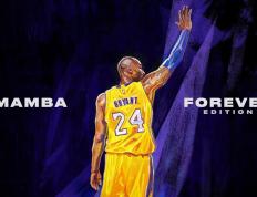 开云体育在线-镜像之战，当西决遇上欧冠，防守的艺术永恒