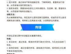 开云体育官方网站-足球比赛中球员展现出色技术技巧