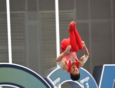 开云官方app入口-体操比赛团体实力抢眼，中国队获奖的简单介绍