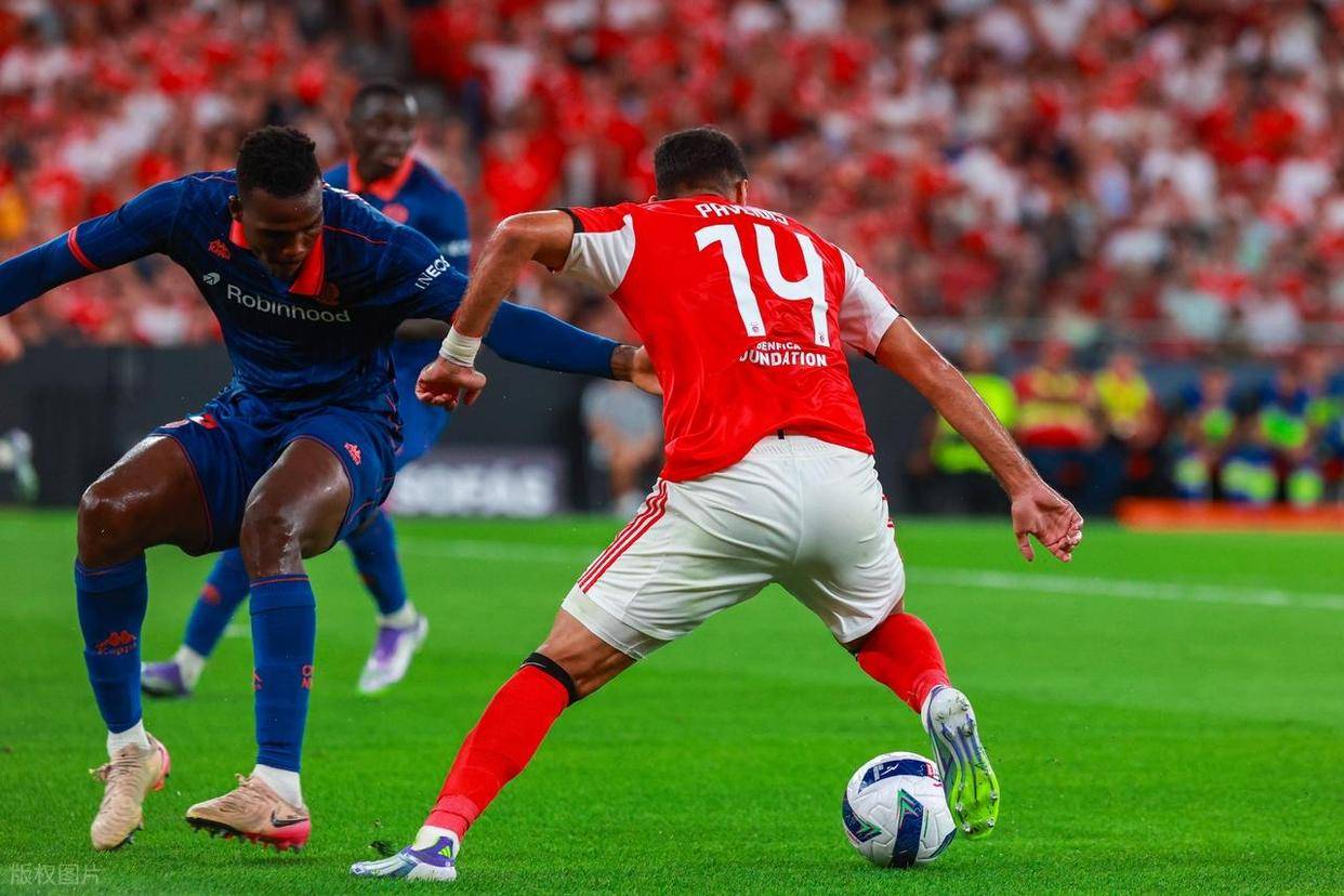 开云体育平台APP-关于尼斯主场无胜，法甲联赛榜首之争越发激烈的信息